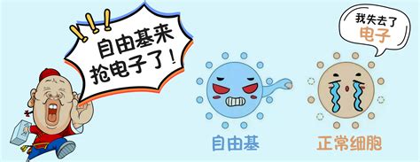 MSN是什么 MSN注册以及邮箱登陆方法 - 新云软件园