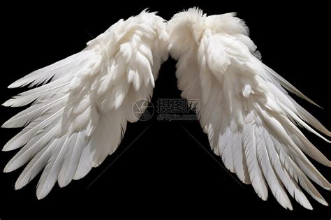 白色的天使羽毛翅膀图片素材-正版创意图片600415279-摄图网