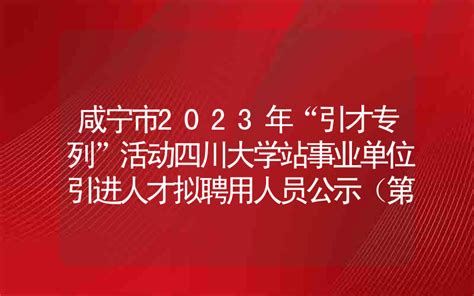 2023年湖北省咸宁市崇阳县人才引进104人公告