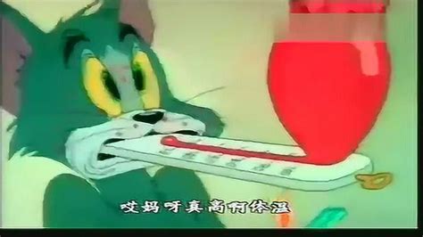 猫和老鼠东北方言版第09集_腾讯视频