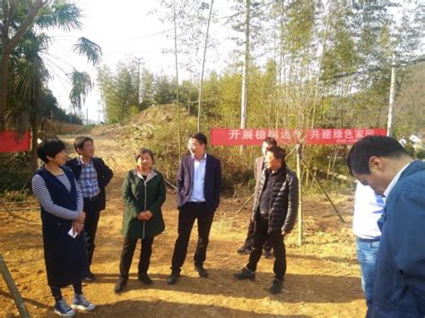 省林业局“绿化造林月”指导组来临检查指导林业重点工作