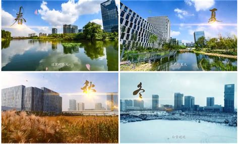 西丽湖国际科教城：越来越“犀利”的高质量发展引擎—社科简讯—深圳市社会科学网