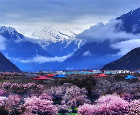 西藏林芝几月最美，有哪些旅游的景点适合游玩 - 游侠客旅行