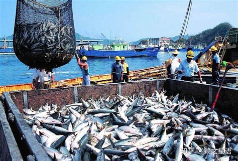 三峡渔场开渔 50余户渔民下网捕鱼 - 户外旅游 梅州时空