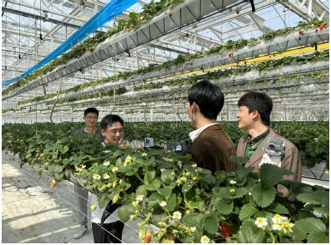 合肥长丰县：智慧农业谷 尽显“科技范”