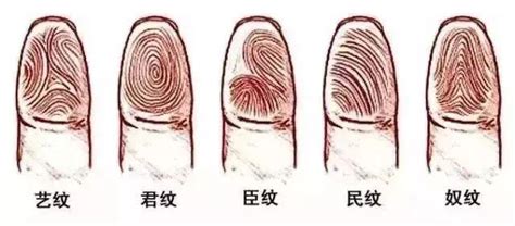 手相：手指上的斗和簸箕两种指纹，你属于哪种？