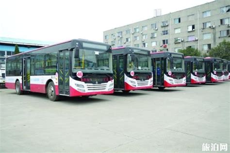 2020滁州公交什么时候恢复和信息整理_旅泊网