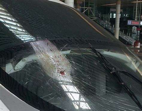杭州至北京高铁被鸟撞裂玻璃乘客换车-图闻天下-锦程物流网
