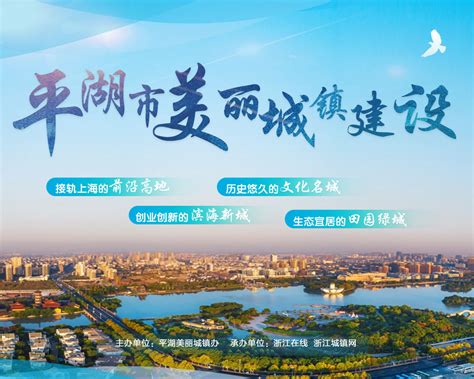 平湖市委书记仲旭东专访：创新奋进，打造中国式现代化的金平湖璀璨明珠-嘉兴在线