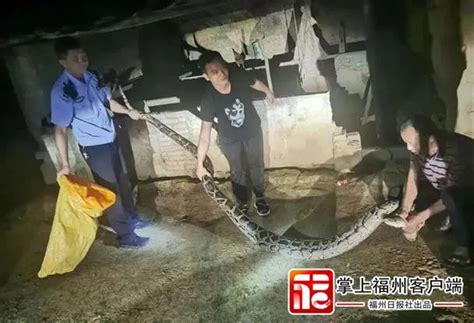 彪悍!20岁女子散步被蛇咬伤 徒手抓活蛇上急诊 -新闻中心-杭州网
