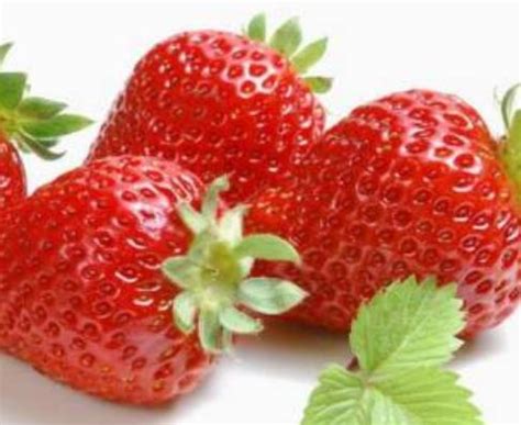 简阳金马草莓:成都简阳金马镇特产草莓,产地农产品草莓_四川产地宝