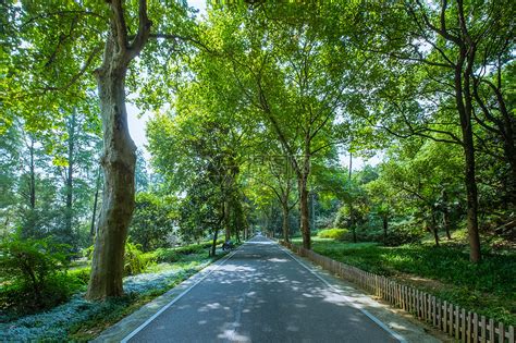 武汉东湖绿道二期森林公园西门节点景观概念设计pdf、jpg方案高清文本[原创]