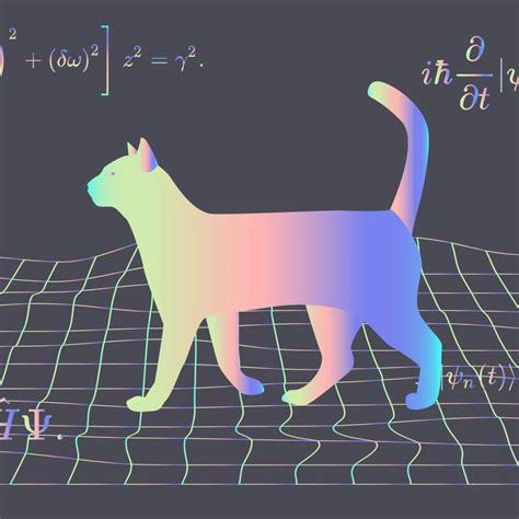 薛定谔的猫为什么恐怖（薛定谔的猫为什么恐怖 薛定谔的猫是什么实验） | 说明书网
