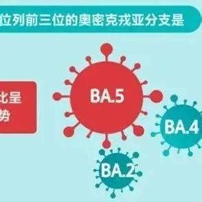 为何说奥密克戎BA.5是大BOSS？一图了解新冠毒株变异史_分支_接种_免疫