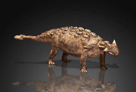 【凤凰网宁波】中国恐龙“霸气”来甬 宁波博物院明日开展----中国科学院古脊椎动物与古人类研究所