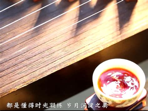 普洱茶品牌篇，13年带着摄像摄影去云南拍摄的微电影_cai211-站酷ZCOOL
