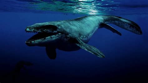 如果把史前海洋生物做一个比较，谁的体型是最大的？