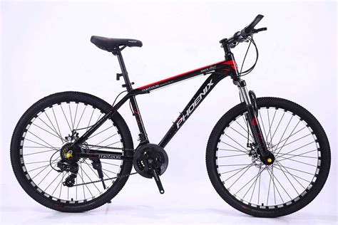 自行车LOGO设计-PHOENIX凤凰自行车品牌logo设计商标设计-三文品牌
