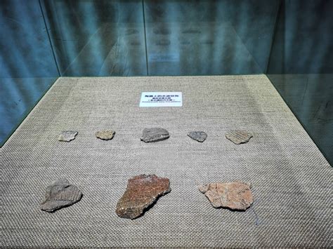 周海：广西桂林甑皮岩国家考古遗址公园公共考古的探索与实践