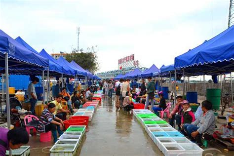 广西钦州港码头最大的海鲜市场，各种各样的海鲜琳琅满目，新鲜肥美又便宜