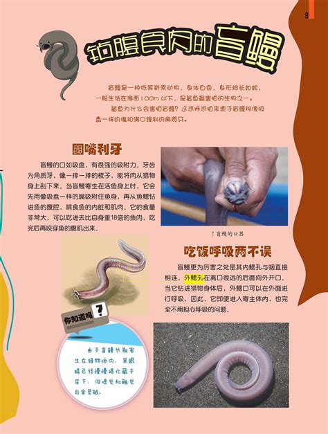 钻腹食肉的盲鳗--中国数字科技馆