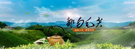 【收藏】茶之珍品-都匀毛尖茶产地简介- 茶文化网