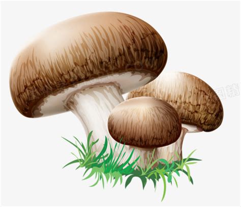蘑菇卡通图片