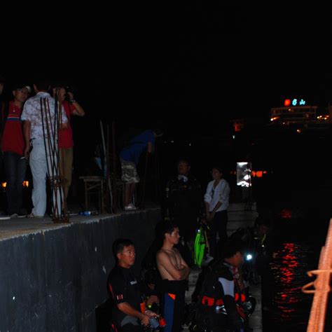 2011年11月11日三亚大东海珊瑚湾夜潜活动