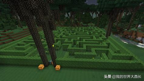 我的世界：“暮色森林”之米诺陶迷宫攻略|迷宫|米诺陶|遗迹_新浪新闻