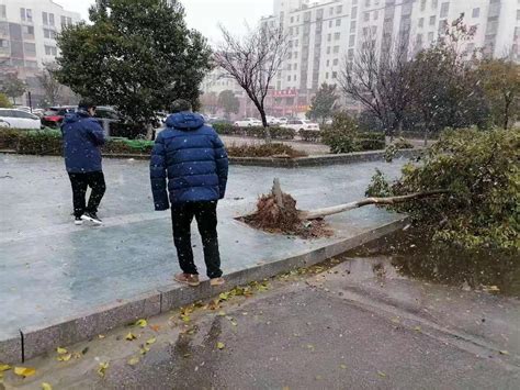 冻雨后的武汉：新春暖阳下冰雪消融，环卫工人仍在一线-财经-金融界