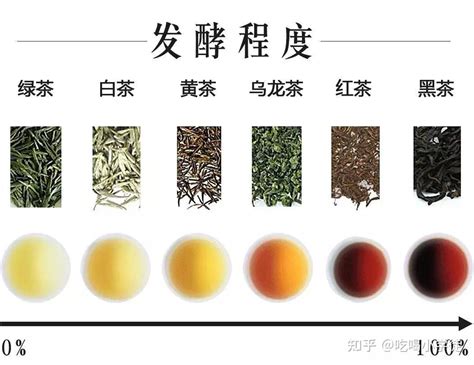 新人如何区分绿茶红茶普洱这些茶叶类型——浅谈不同类型茶叶的区别 - 知乎