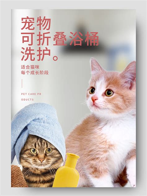猫 洗澡图片_猫 洗澡图片下载_正版高清图片库_第2页-Veer图库