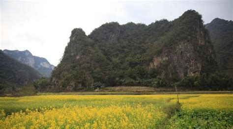 巧家县最富的乡镇,巧家县各乡镇介绍,巧家县小河镇图片(第4页)_大山谷图库