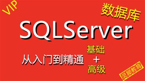 SQL Server-表数据操作第一讲（导入与导出） - 软件入门教程_SQL Server - 虎课网