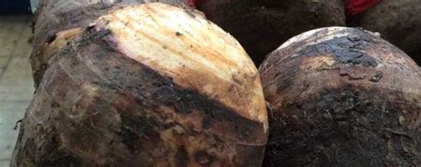 潮州山哥南瓜芋头的做法 大家可以了解一下_知秀网