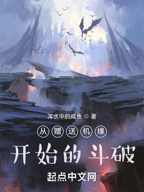 《从赠送机缘开始的斗破》小说在线阅读-起点中文网