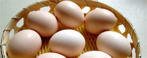 活珠子鸡蛋的功效与作用（被称为“黑暗料理”的毛鸡蛋和活珠子，营养真的很高吗？别吃错了） | 说明书网