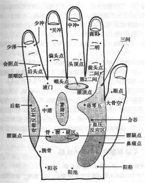 手掌经络图解大全图片 手掌经络图解大全图片