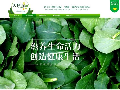 蔬菜网站设计图__广告设计_广告设计_设计图库_昵图网nipic.com