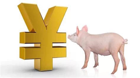 发改委：未来生猪养殖头均亏损为7.50元，预计猪价或延续震荡微涨的局面 - 猪好多网