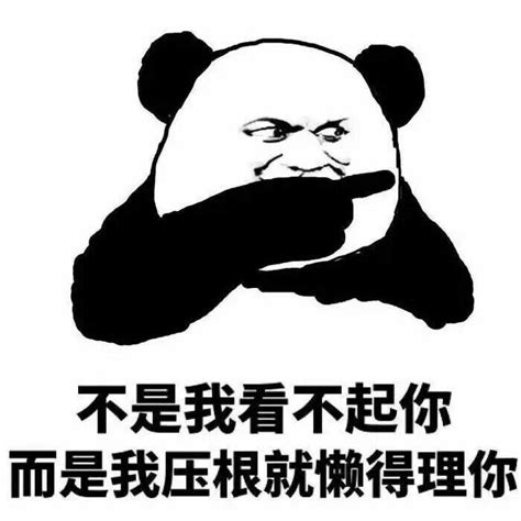不是我看不起你，而是我压根就懒得理你 - 斗图大会 - 装逼表情库 - 真正的斗图网站 - dou.yuanmazg.com
