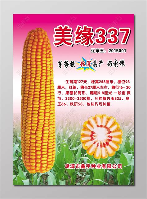 黄淮海耐高温玉米品种有哪些，豫单132的形状表现和特征特性有哪些 - 农敢网