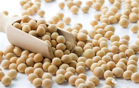 2018年黑龙江大豆产量、种植面积及价格走势分析【图】_智研咨询