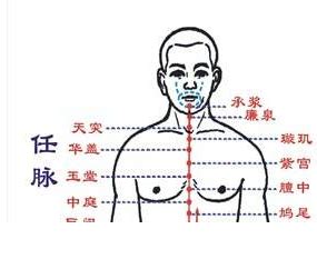 冲脉的准确位置图图片