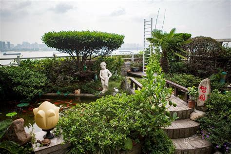 武汉老人花十年造私人“空中花园” 可见江景-新闻中心-温州网