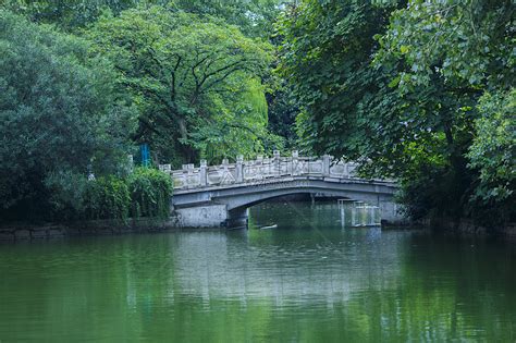 小桥流水人家——记录这一年的明湖魅影