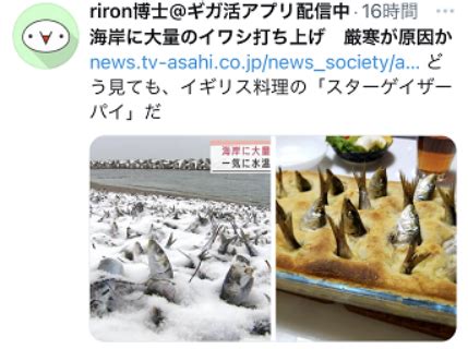 北海道海岸惊现大量死沙丁鱼，日媒：捡鱼者称食用没问题