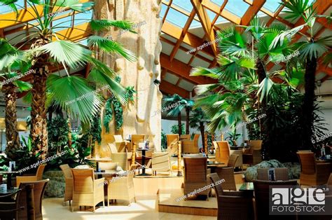 beautiful caffe restaurant with palm tree and little waterfall and ...