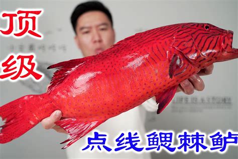 逛一圈海鲜批发市场，买一条顶级深海鱼，好吃到炸_凤凰网视频_凤凰网