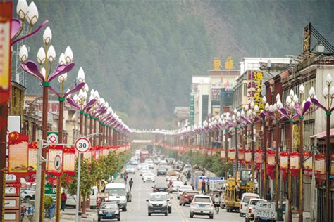 医学部专家志愿科普服务团赴林芝市波密县完全小学开展健康科普活动---西藏民族大学